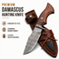 Handmade Damascus Fixed Blade Knife 10" Hunting Camping Outdoor Predator Hunter HandiGo USA