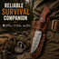 Handmade Damascus Fixed Blade Knife 10" Hunting Camping Outdoor Predator Hunter HandiGo USA